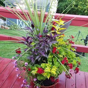 Meet your Posher, Trudy